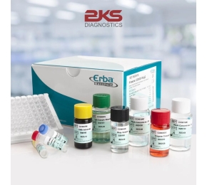 Hóa Chất Xét Nghiệm Sinh Hóa ERBA